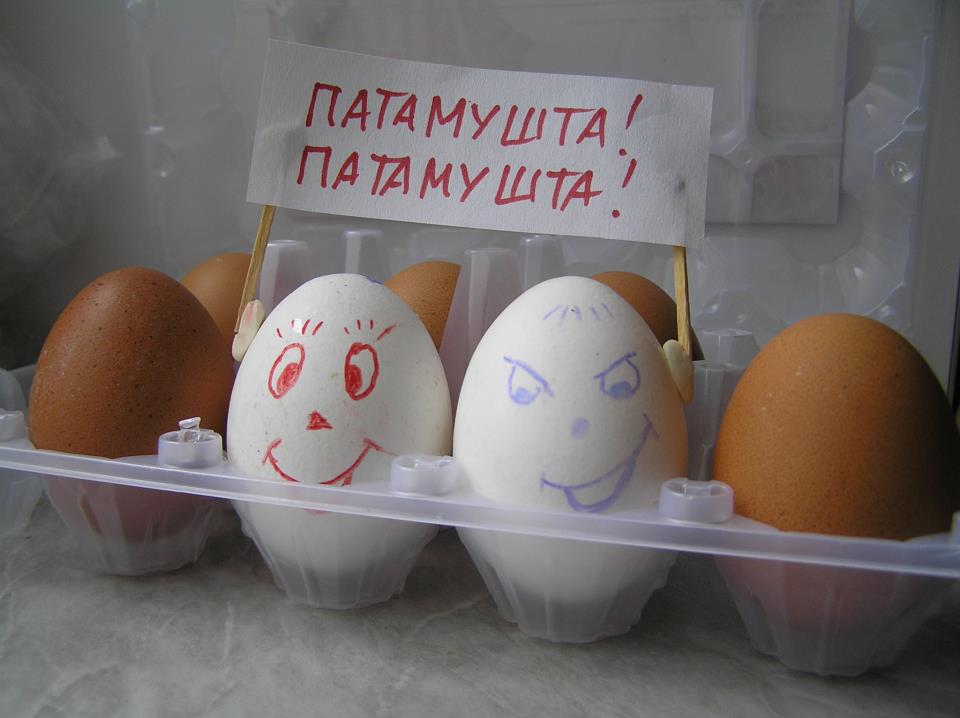 7-eggs