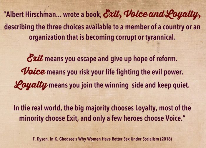 A quote about citizen responses to state power citing Dyson, from Ghodsee's book Why Women Have Better Sex Under Socialism